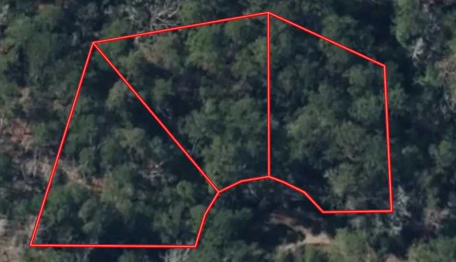 R33490 Burrow Lane, Brookeland, TX 75931 - #2