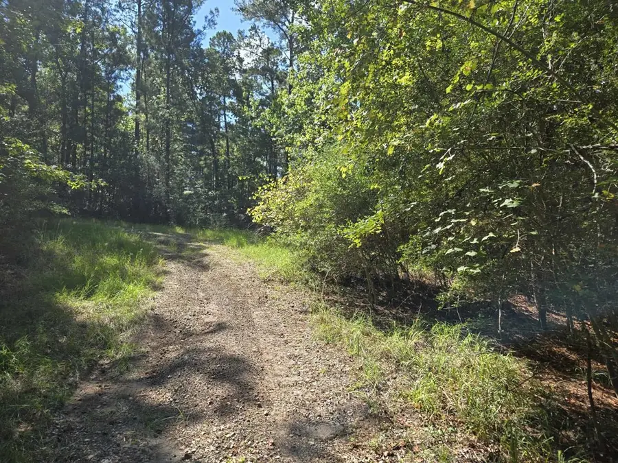 R33490 Burrow Lane, Brookeland, TX 75931 - #3