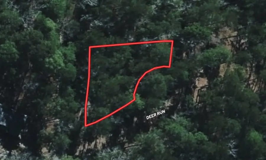 R34125 Deer Run Lane, Brookeland, TX 75931 - #2