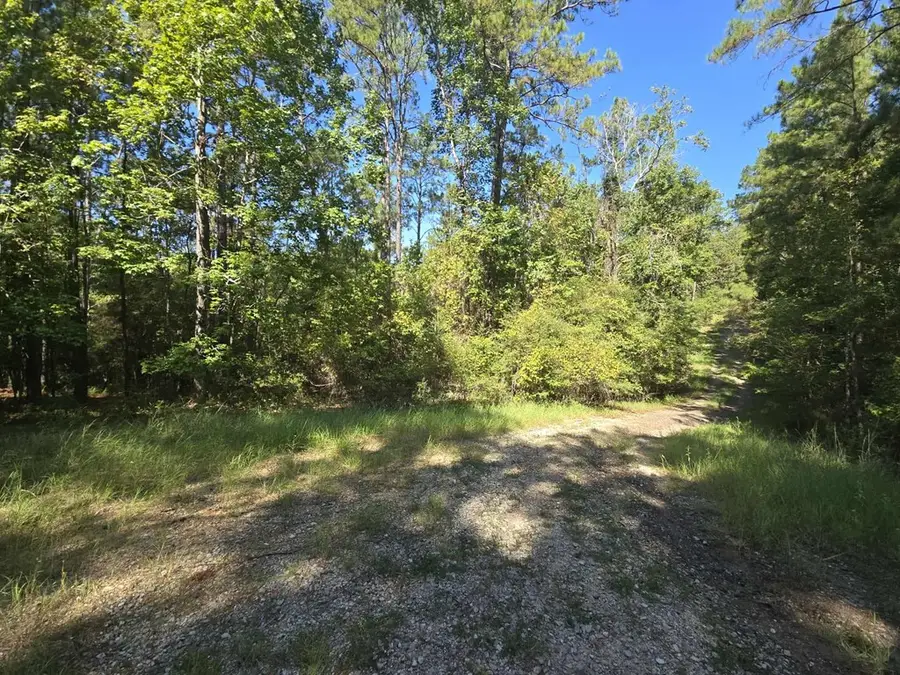 R34125 Deer Run Lane, Brookeland, TX 75931 - #3