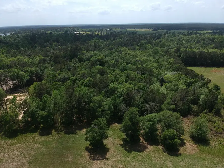 Lot 131 Green Valley Trail, Hillister, TX 77624 - #3