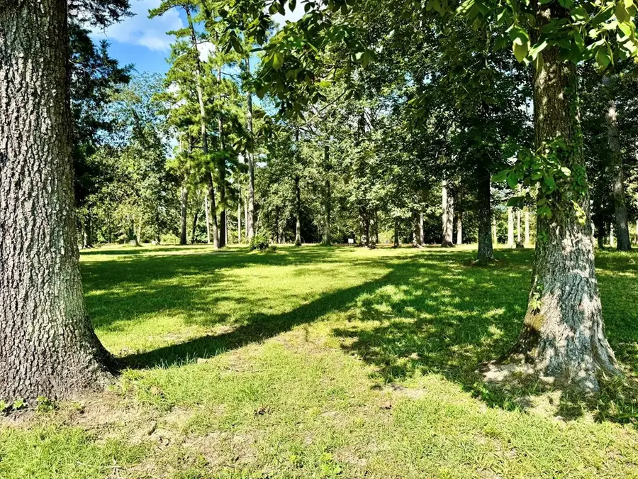 Lot 422 Lakeland Ranch, Hillister, TX 77624 - #2