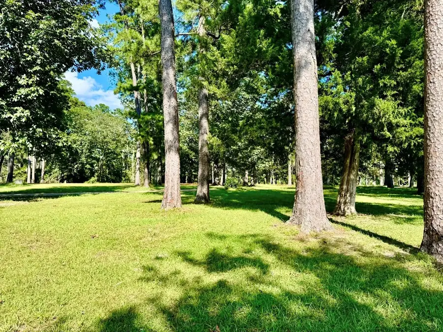 Lot 422 Lakeland Ranch, Hillister, TX 77624 - #3