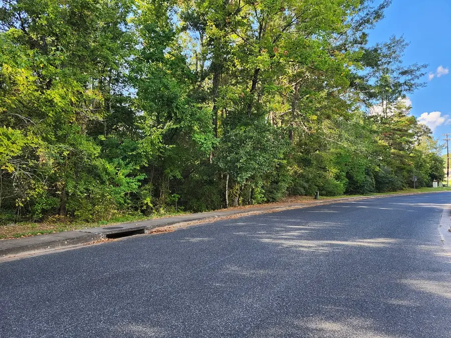 2204 Copeland Street, Lufkin, TX 75904 - #3