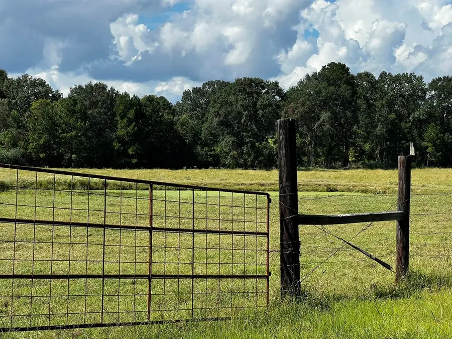 1475 Fm 2558, Broaddus, TX 75929 - #2