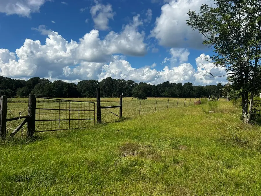 1475 Fm 2558, Broaddus, TX 75929 - #3