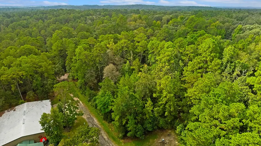 182 Dagger, Brookeland, TX 75931 - #2