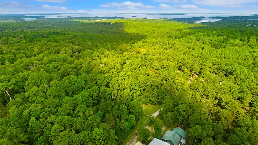 182 Dagger, Brookeland, TX 75931 - #3