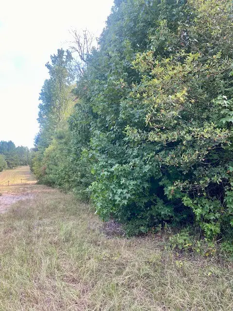 943 Post Oak Road, Lufkin, TX 75901 - #3