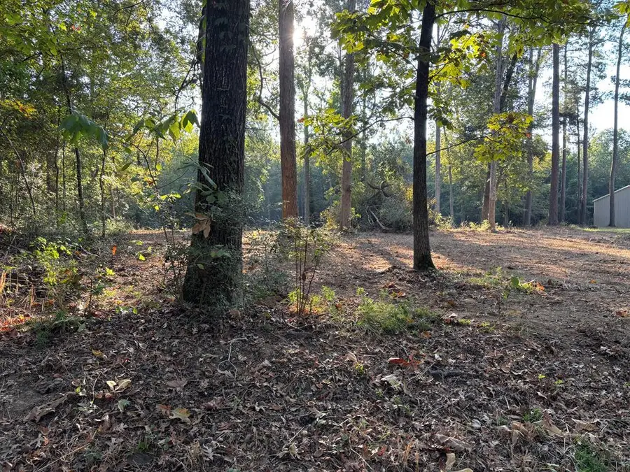 1198 Vantage Point, Hemphill, TX 75948 - #2