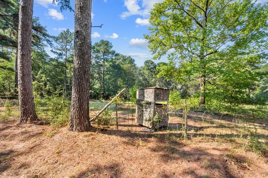 1936 Fm 1196, San Augustine, TX 75972 - #3