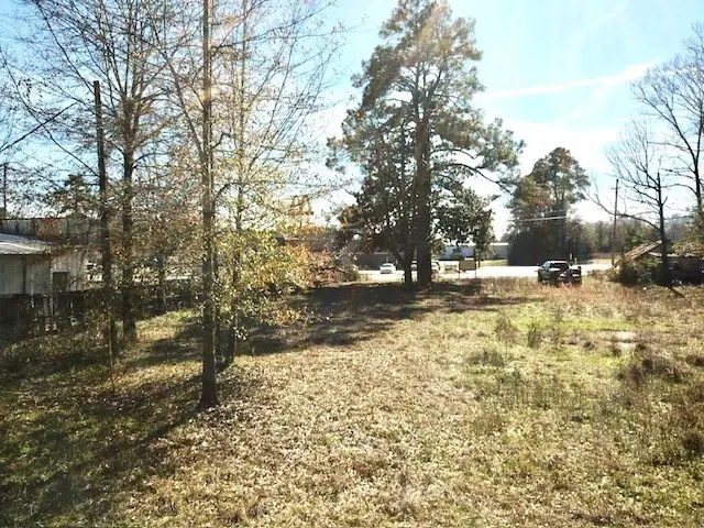 TBD 01 Cobb Mill Road, Woodville, TX 75979 - #2
