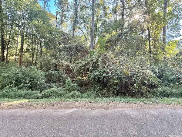 0 Commodore Drive, Hemphill, TX 75948