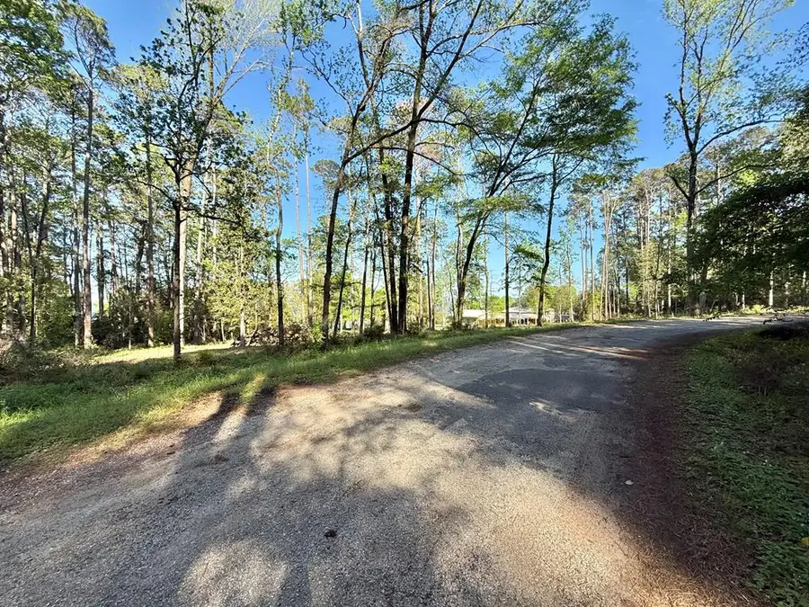 0 Commodore Drive, Hemphill, TX 75948 - #2