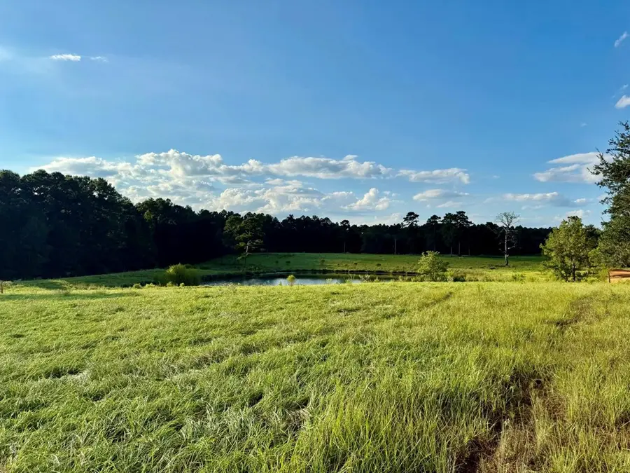 Lot 277 Lakeland Ranch, Hillister, TX 77624 - #2