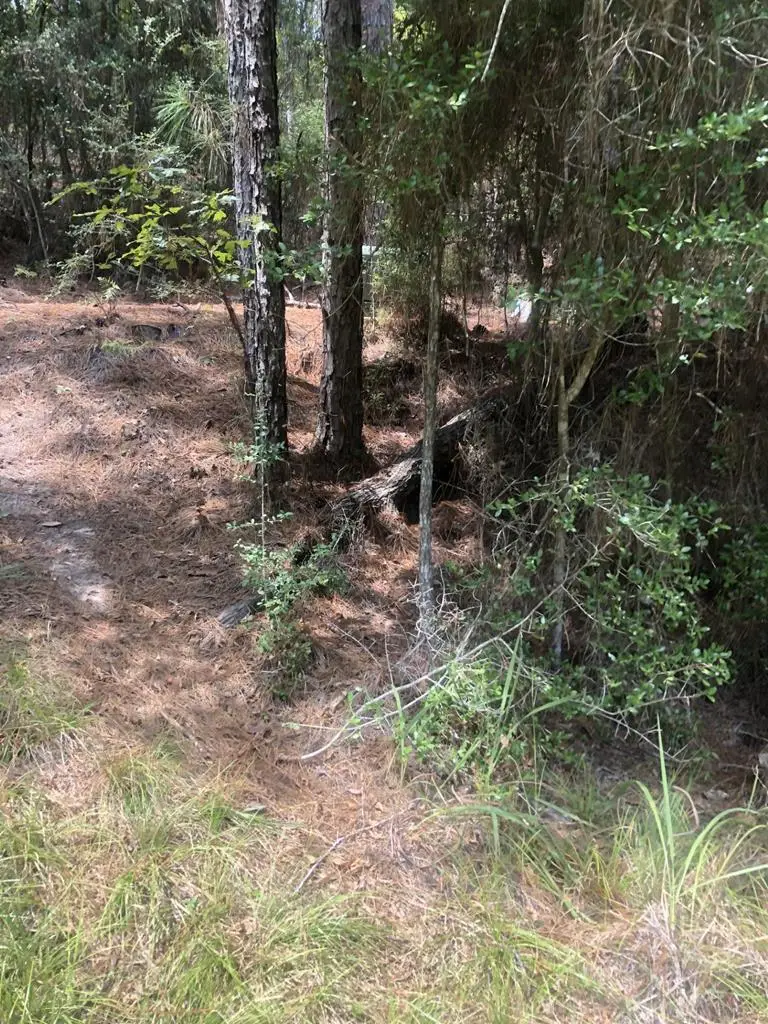 32586 Crenshaw Drive, Brookeland, TX 75931 - #1