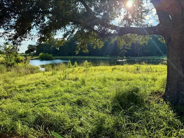 Lot 278 Lakeland Ranch, Hillister, TX 77624