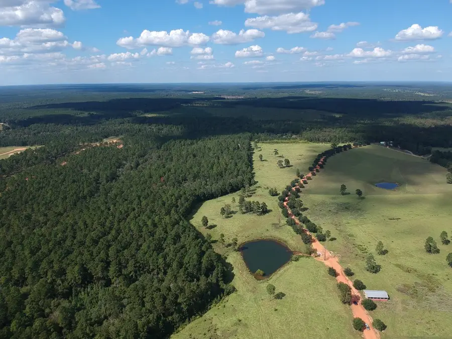 Lot 278 Lakeland Ranch, Hillister, TX 77624 - #3