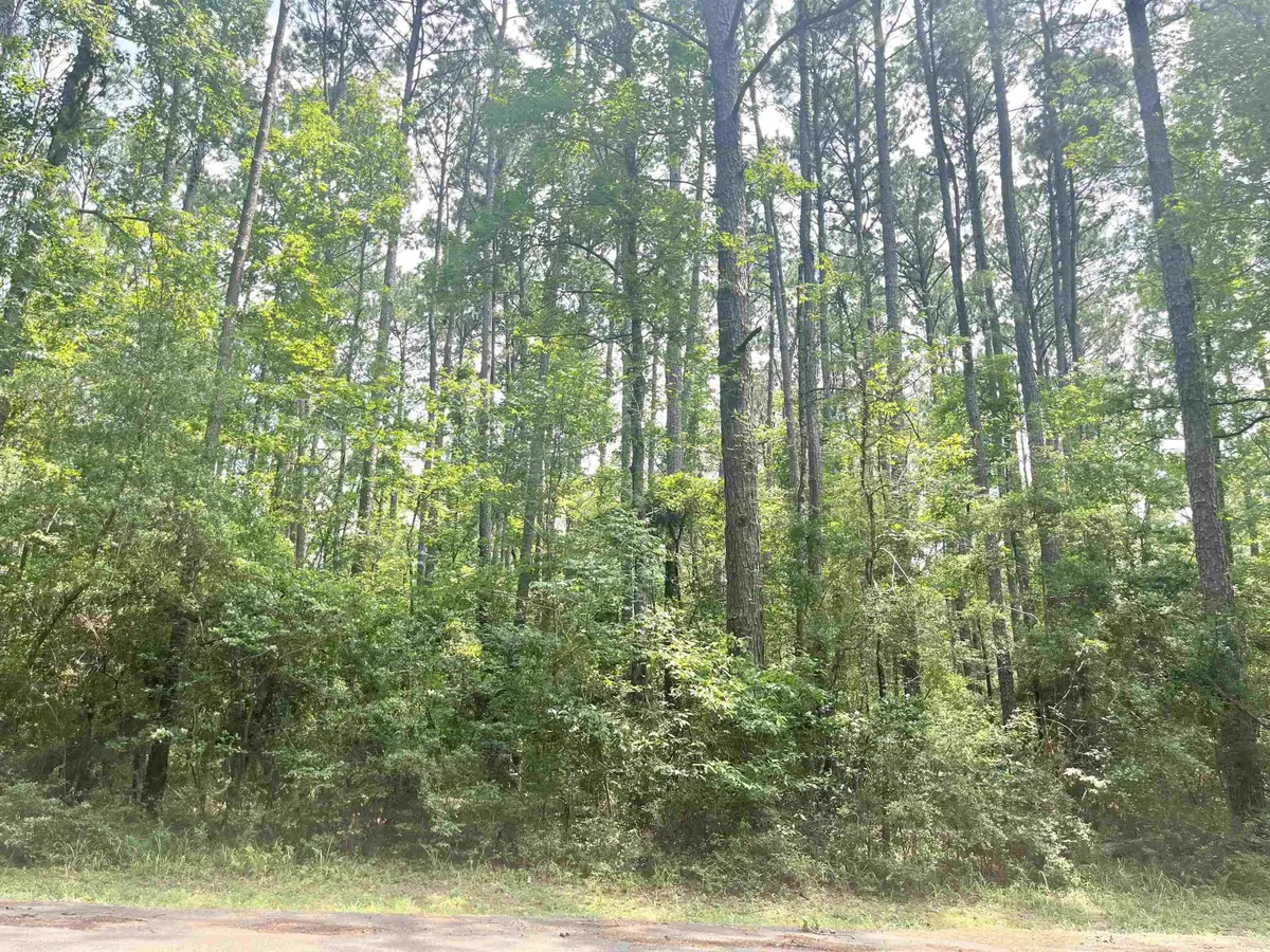 R000118011 Starfish Dr., Hemphill, TX 75948 - #1