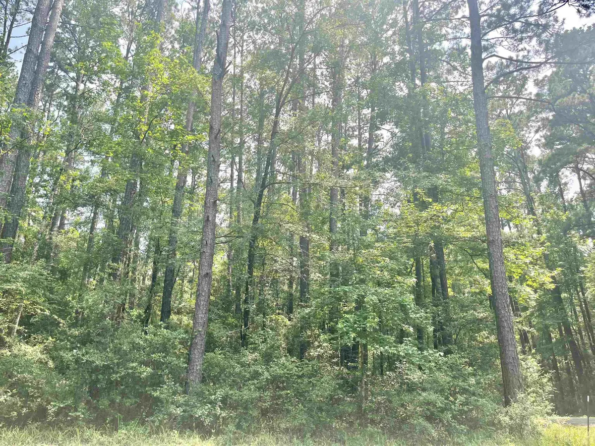 R000113751 Starfish Dr., Hemphill, TX 75948 - #1