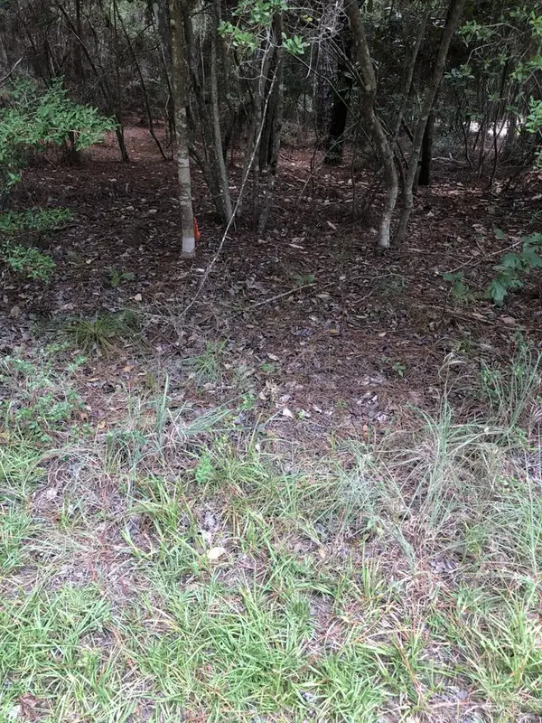 ID# 34169 Dewberry Drive, Brookeland, TX 75931