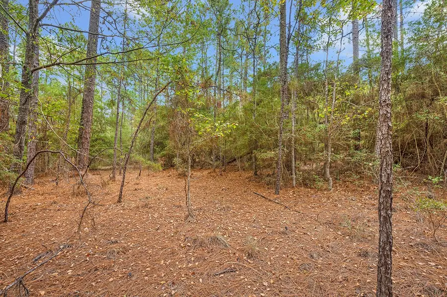 158 Dogwood Drive, Brookeland, TX 75931 - #3