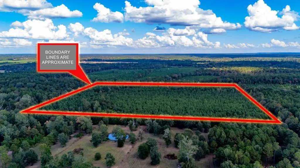 35 acres Fm 326, Lufkin, TX 75901 - #1