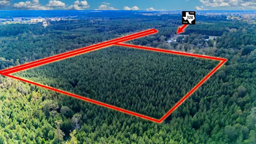 35 acres Fm 326, Lufkin, TX 75901 - #2