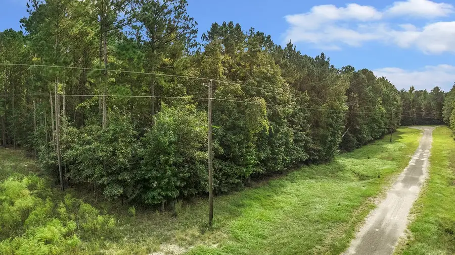 255 County Road 222a, Brookeland, TX 75931 - #2