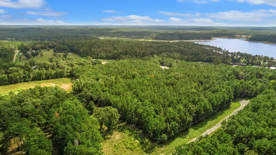 255 County Road 222a, Brookeland, TX 75931 - #3