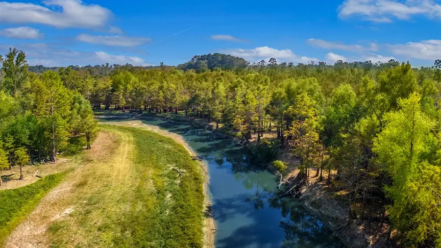 1800 County Road 219, Brookeland, TX 75931 - #3