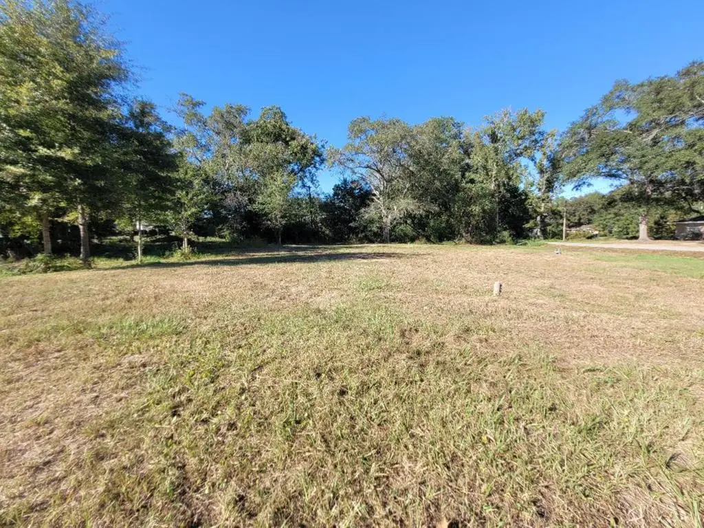 112 E Drew Street, Kirbyville, TX 75956 - #1