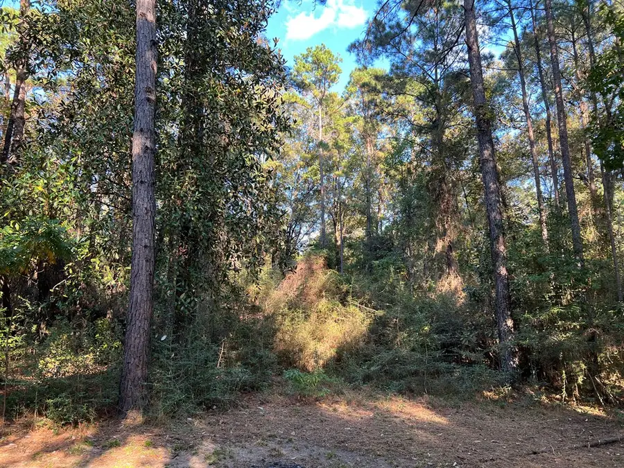 310 Roosevelt Street, Newton, TX 75966 - #3