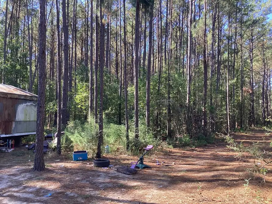 3038 County Road 3038, Newton, TX 75966 - #3