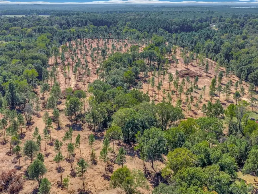 PID 32475 Austin Lane, Pollok, TX 75969 - #3