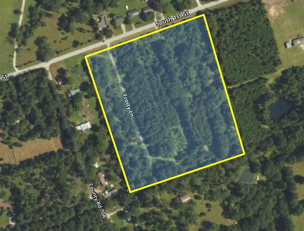 1301 South First Street, Diboll, TX 75941 - #1