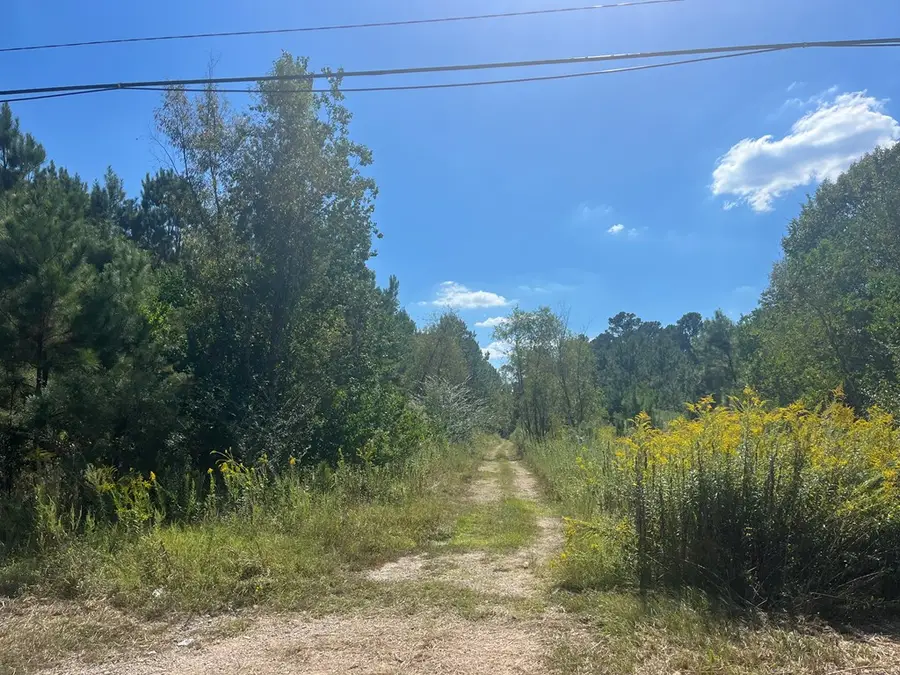 1301 South First Street, Diboll, TX 75941 - #2