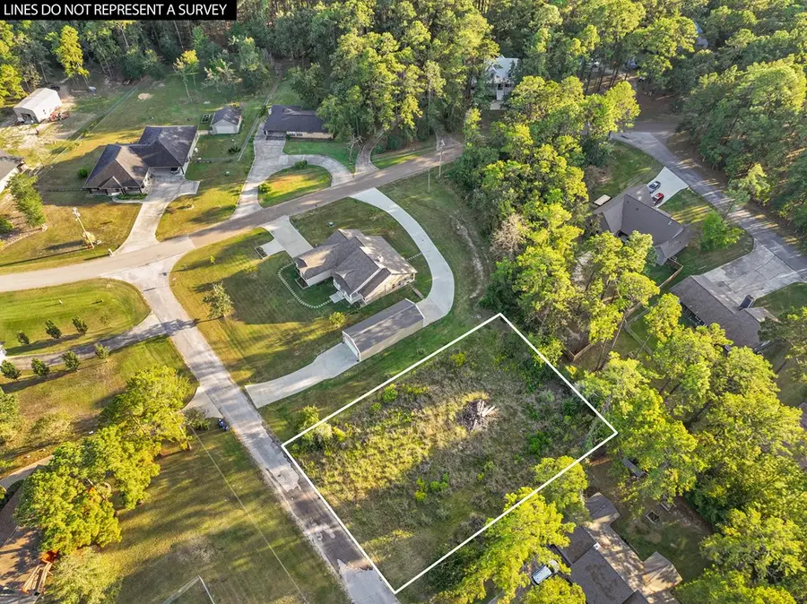 157 Cove Lane, Brookeland, TX 75931 - #2