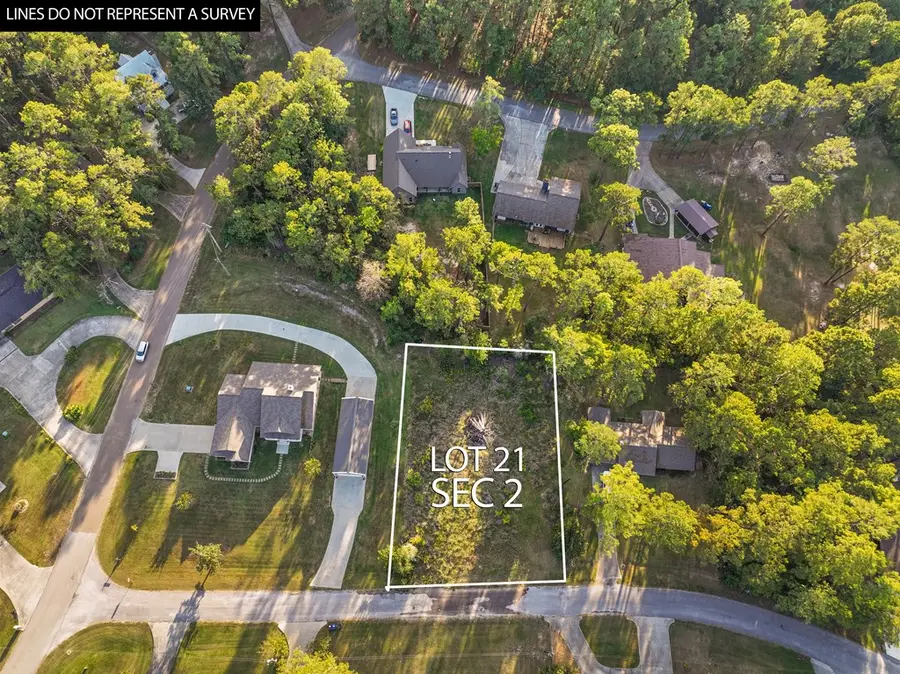 157 Cove Lane, Brookeland, TX 75931 - #3