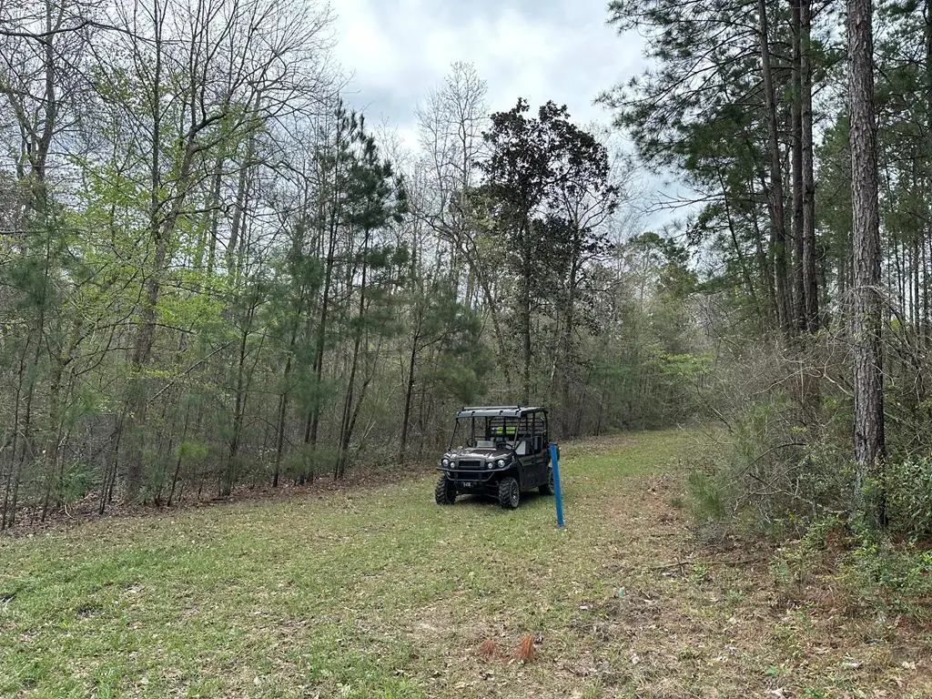 TBD Fm 1005, Jasper, TX 75951 - #1