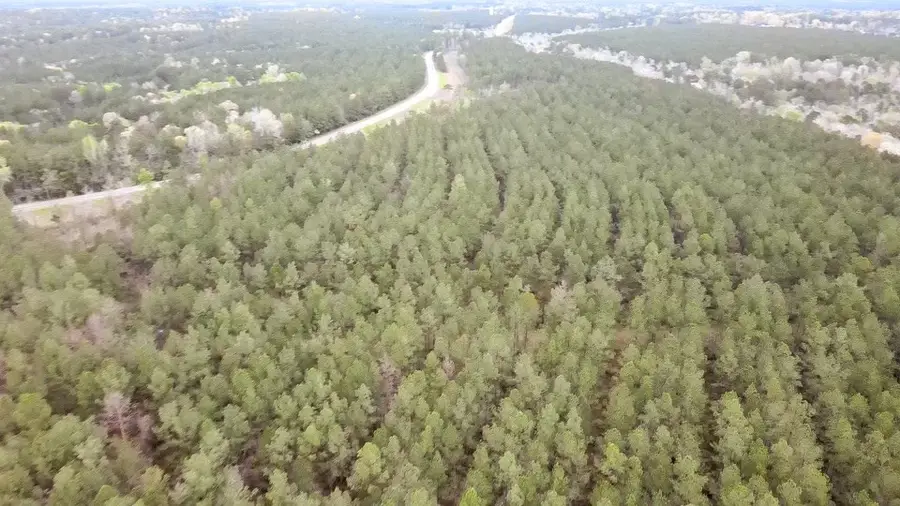 TBD Fm 1005, Jasper, TX 75951 - #2