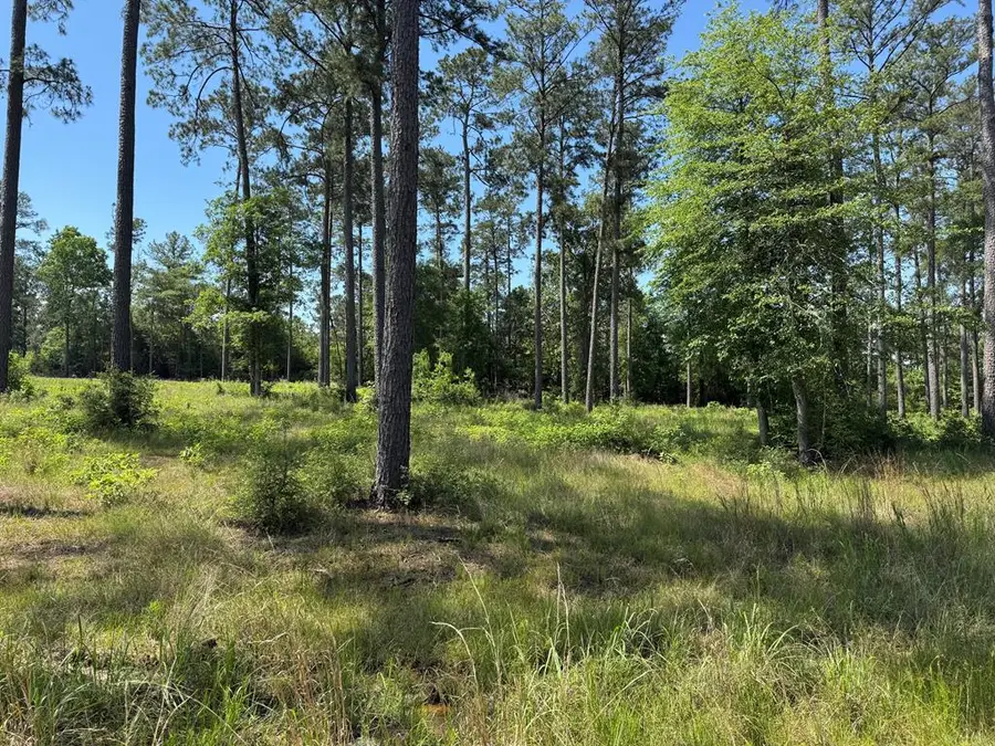 009 Private Rd 6028, Brookeland, TX 75931 - #3