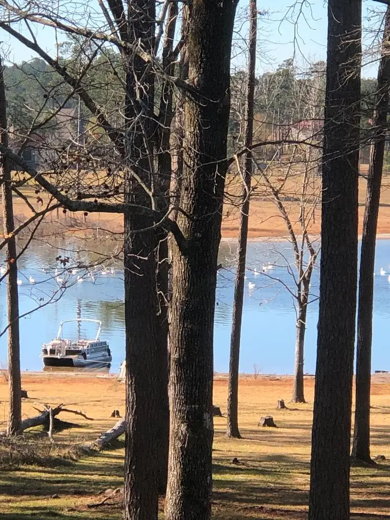 397 Cr 223, Brookeland, TX 75931 - #2