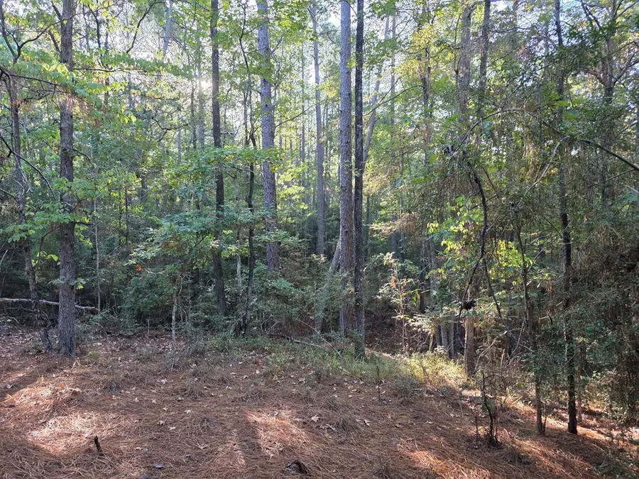 Lot 170, Sec 17 Tallowood Drive, Brookeland, TX 75931 - #3