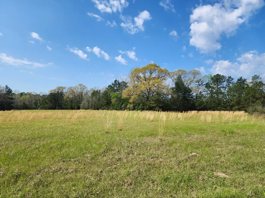 431 Cr 3630, Colmesneil Chester, TX 74904 - #3