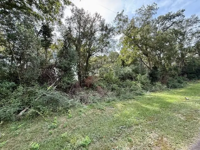 915 E Court Street, Newton, TX 75966 - #2