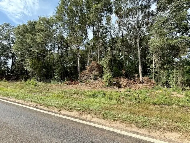 915 E Court Street, Newton, TX 75966 - #3