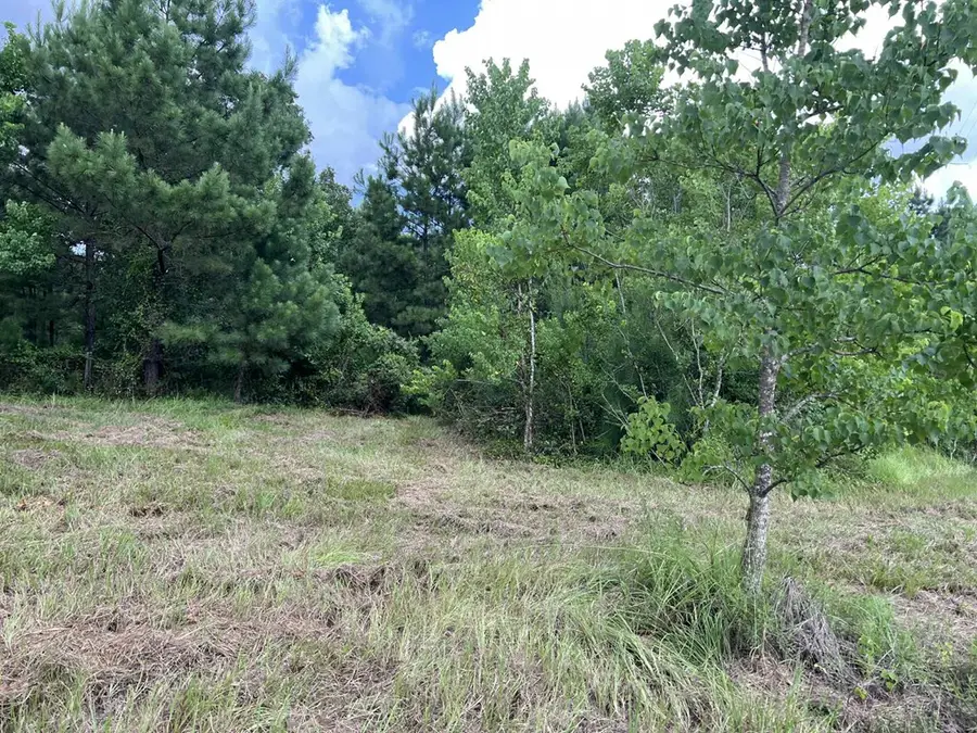 660 Carter Drive, Zavalla, TX 75980 - #3