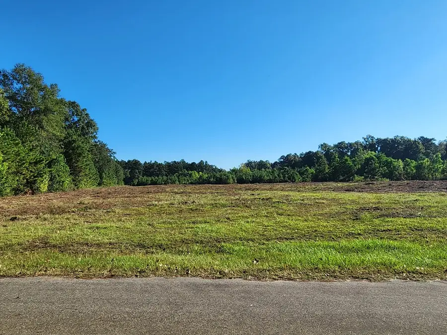 8.031 AC Highway 92, Spurger, TX 77660 - #3