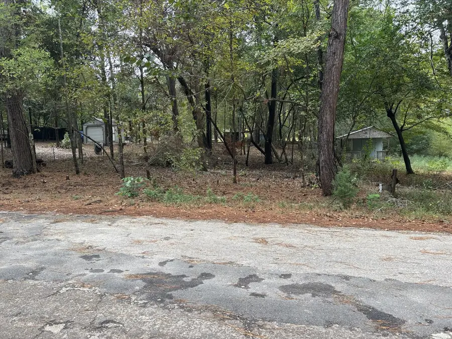 223 28th Street, Woodville, TX 75979 - #2